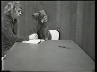 1981_1990\1989.0070f.jpg; 1989.0070; ;